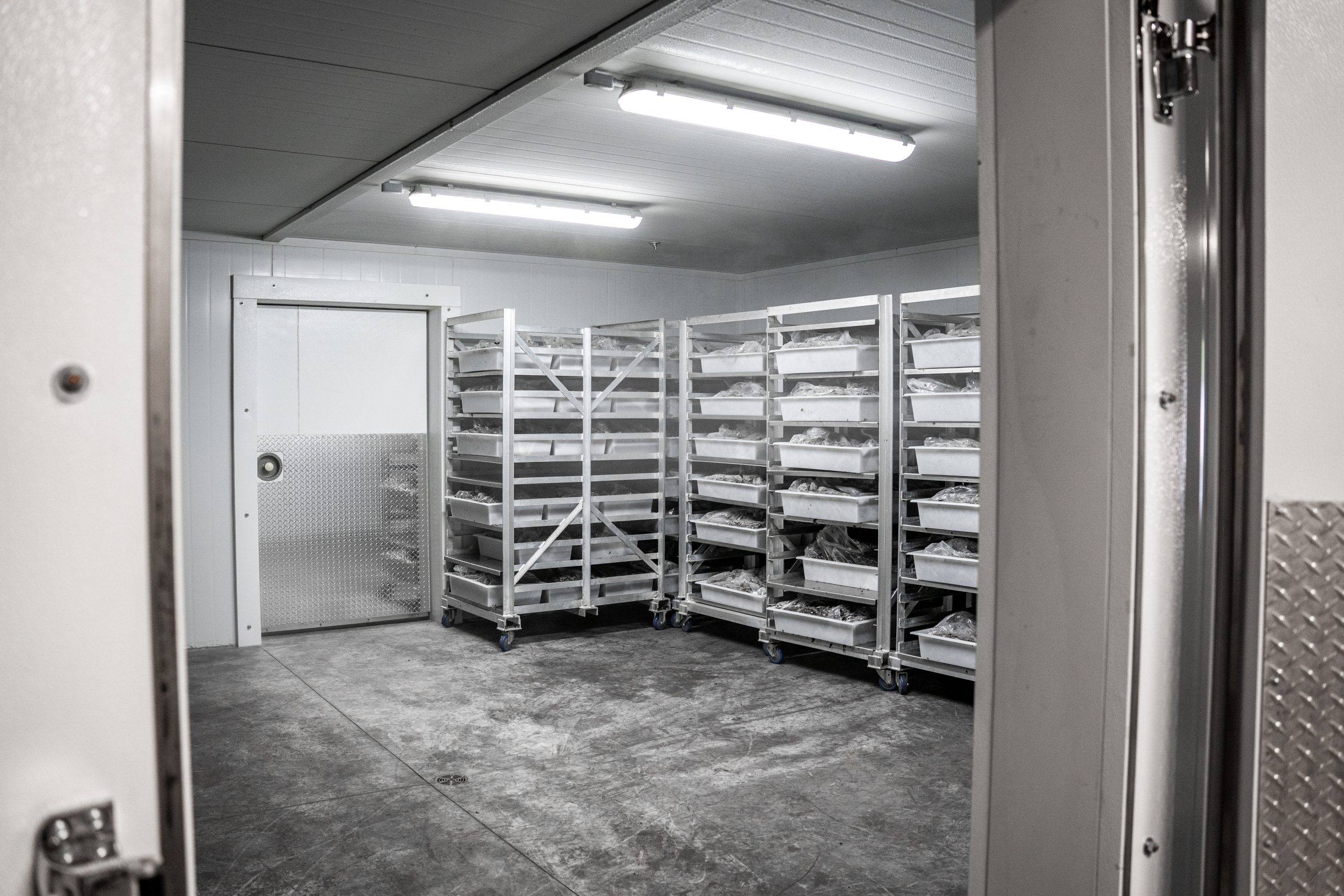 products on roller stands sitting inside blast freezer.