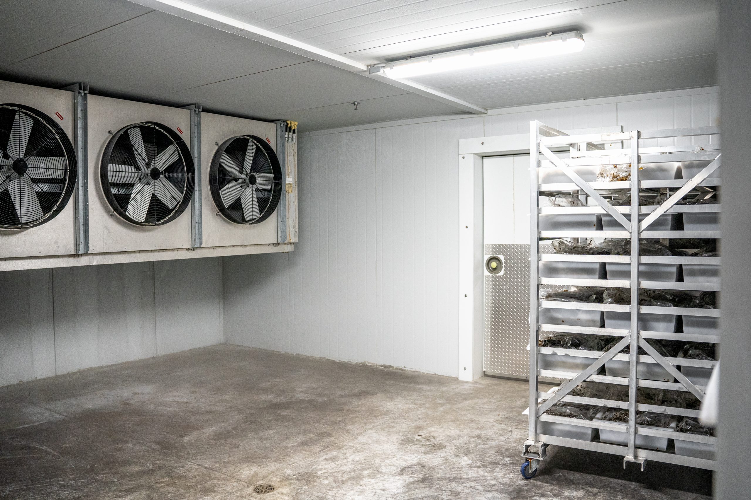 products sitting inside blast freezer